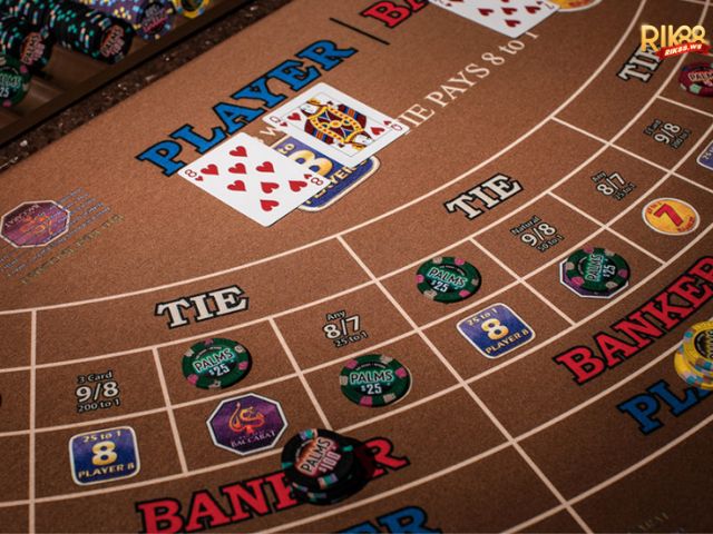 Các cửa cược chi tiết 